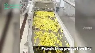 Factory Direct Sales  Commercial Automatic Fries Machine Production Line +WHATSAPP18930065332