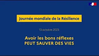 Journ&eacute;e nationale de la R&eacute;silience : Les bons r&eacute;flexes face aux risques naturels ou technologiques
