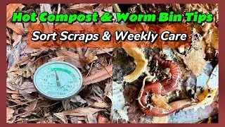 Hot Compost and Worm Bin Maintenance | How I Manage Both