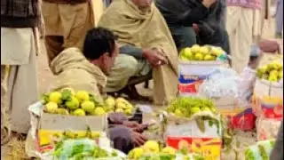 Today Guava Rate Very Cheap Gm Abad (FSD)