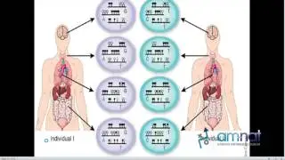 Alus, LINE-1s, Introns, LncRNAs, and Pseudogenes (Salvador Cordova)