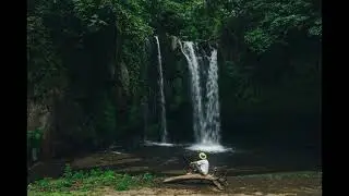 Rainforest Stream 2 Hours - AudioVisual Journey for Relaxation