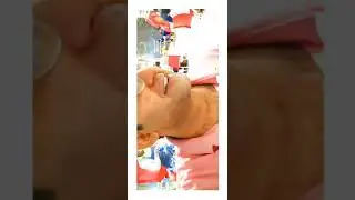 dragon mart kfc UAE mist visit good taste ✌️🇦🇪❤️#subscribetomychannel #unitedarabemirates #folowme