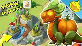 HATCHING 3 NEW DRAGONS + PUMPKIN DRAGON Breeding Begins! - DML #991