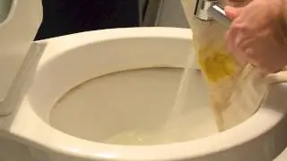 Diaper Sprayer Demo