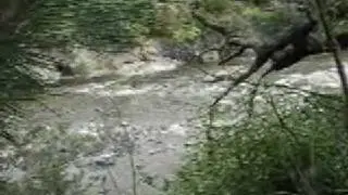 lord of the rings River Anduin site from Harcourt Holiday Park