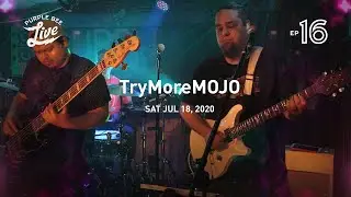 TryMoreMOJO &bull; Purple Bee Live E16 &bull;&nbsp;2020-07-18 [Full Show]