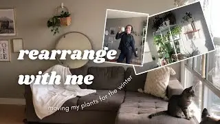 rearranging my living room | secondhand home decor / moving houseplants for the cooler months