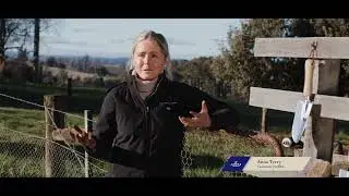 Jansz Tasmania - Methode Tasmanoise