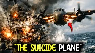 The 