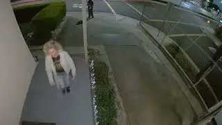 Couple Mailbox Thieves Caught on Camera! Going House to House Stealing Mail!