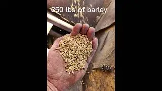 Learn how we grind and mix our own pig feed on the farm.