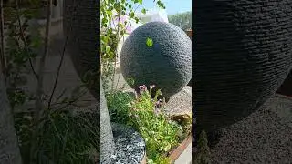 RHS Chelsea 2024 stand