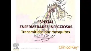 #CasoCl&iacute;nicoCKS Especial Enfermedades Infecciosas Transmitidas por Mosquitos