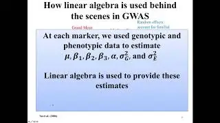 Linear algebra involved with GWAS and GS and how to code it in R
