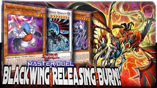 Blackwing Soltando Burn! Yu-Gi-Oh! Master Duel