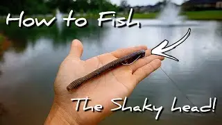How to Fish the Shaky Head for Summer Bass! | Tips and Tricks!