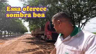 Parte 04 da última viagem no FH 540