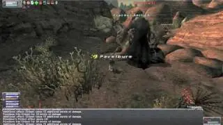 Rdm / Bst Vs Citipati