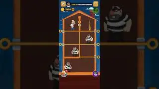 Home Pin Level 27