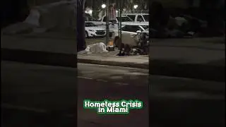 Homeless Crisis in Miami.