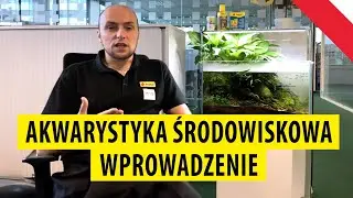 TROPICAL | Akwarystyka środowiskowa – wprowadzenie
