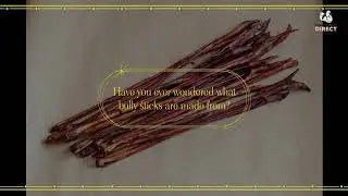 What are Bully Sticks Made From? - Bully Sticks Direct