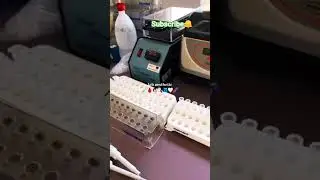 Lab Aesthetic.#medicalstudent #medical #viralvideo #foryou #laboratory #labtechnologist #foryourpage