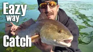 The Best Way to Catch REDFISH in Louisiana Waters for Winter