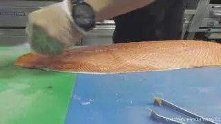 CASTRO PRODUCTIONS presents How to clean Salmon