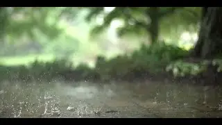 CALM THUNDERSTORM RAIN SOUND | NIGHT TIME RAINING | 7 HOURS OF RAIN!!!