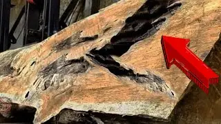 Tragic! Natural grain in teak wood like animal lion