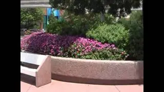 flowers and crowds at Epcot Disney World Orlando.wmv