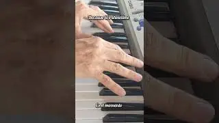 It's Showtime / Es el Momento / piano 🎹 in Db / Blazing Bobby McB 