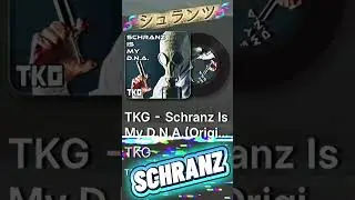 Schranz is My D.N.A. &ndash; A hard beat that goes straight into your core.🔈🧬‼️ #schranz #technodance