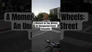 Момент на двух колесах: неожиданная уличная встреча