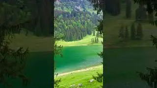 Samtisersee, switzerland 🇨🇭📍#nature #naturelovers