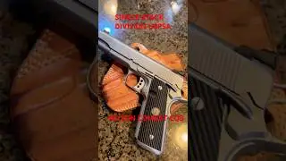 WILSON COMBAT CQB ELITE STAINLESS at a USPSA LEVEL I Practice Match! #competitionshooting #1911