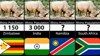 Rhino Population By Country 2023