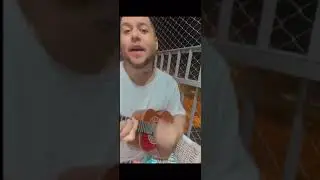 Palhetada Rominho - Novos tempos ( Na levada Romito)