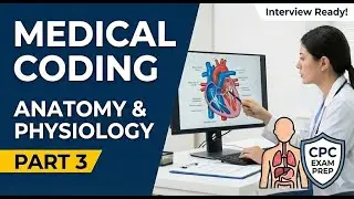 Medical Coding Anatomy & Physiology Questions | CPC Exam Prep & Interview | Part 3