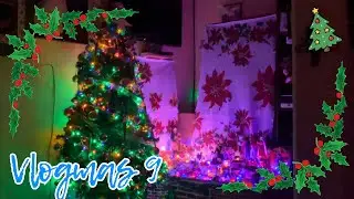 Les muestro mi arbolito de Navidad|Vlogmas 2025 D&iacute;a 9| Fer Seyer 
