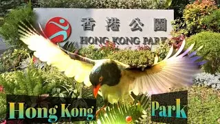 How to go Hong Kong Park[香港公園]