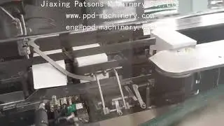 Automatic Disposable Mask Cartoning Machine