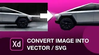 Convert Any Image to a Vector/SVG in Adobe Xd | Design Weekly