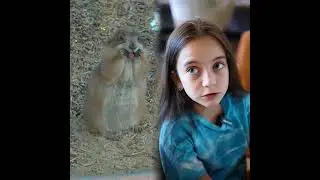 Как вы думаете, это правильно?