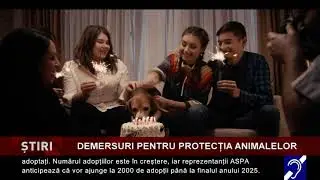 Demersuri pentru protecția animalelor