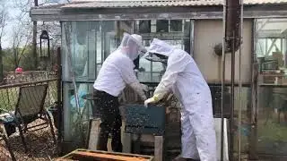 Splitting a beehive
