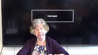 Toni Bjerremose - Bibelens p&aring;skedrama og dets betydning i dag.