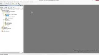 Access 2010 trucos Tabla SQLServer 2008 con formulas